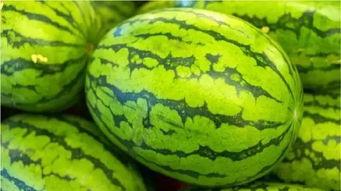 虞梅越南网红吃瓜,揭秘东南亚美食圈的热议话题